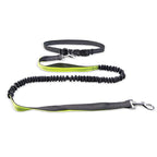Dog Walking Belt with Detachable Shockproof Leash