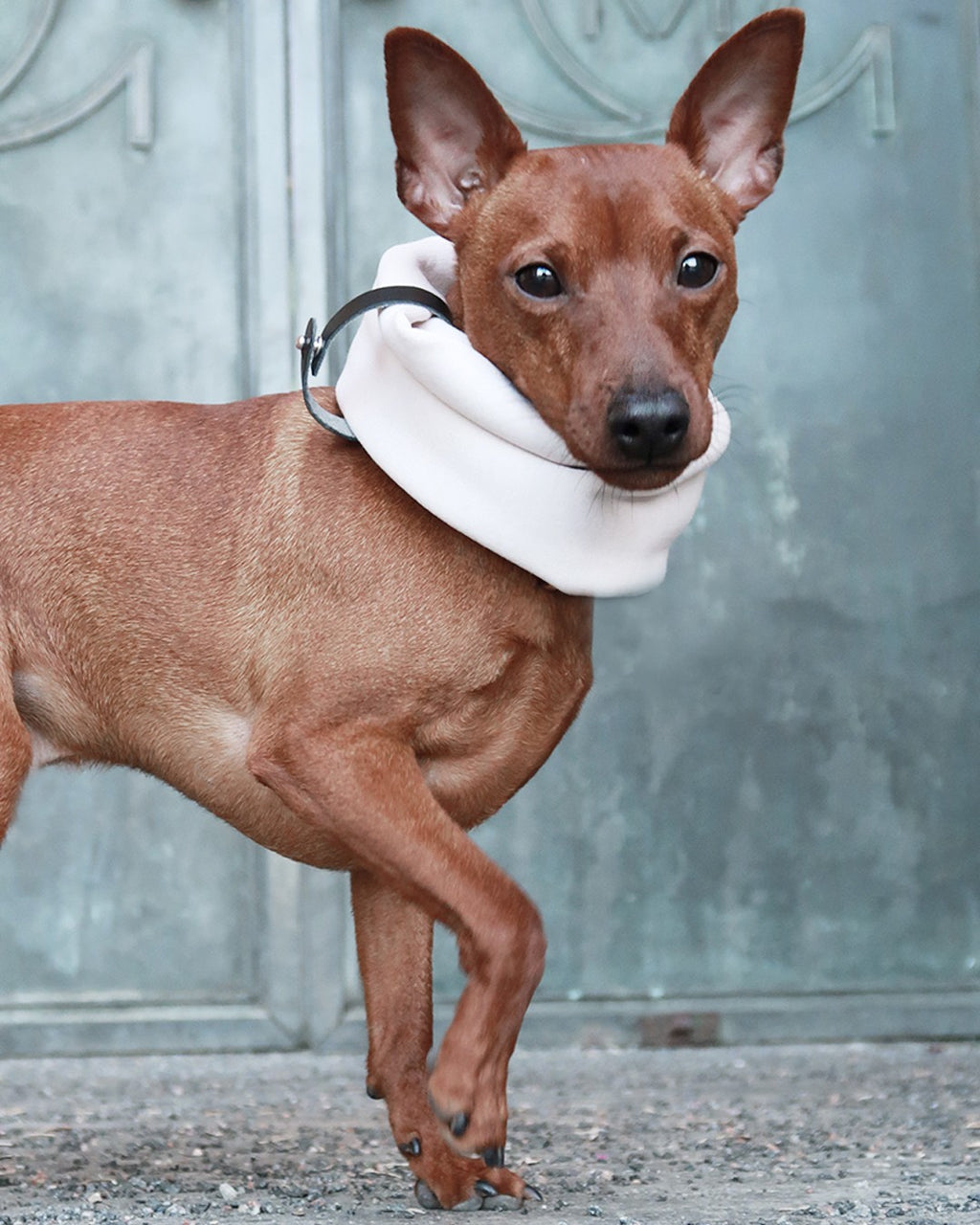 Inko Neck Warmer - White Sand 