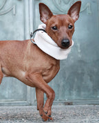 Inko Neck Warmer - White Sand 