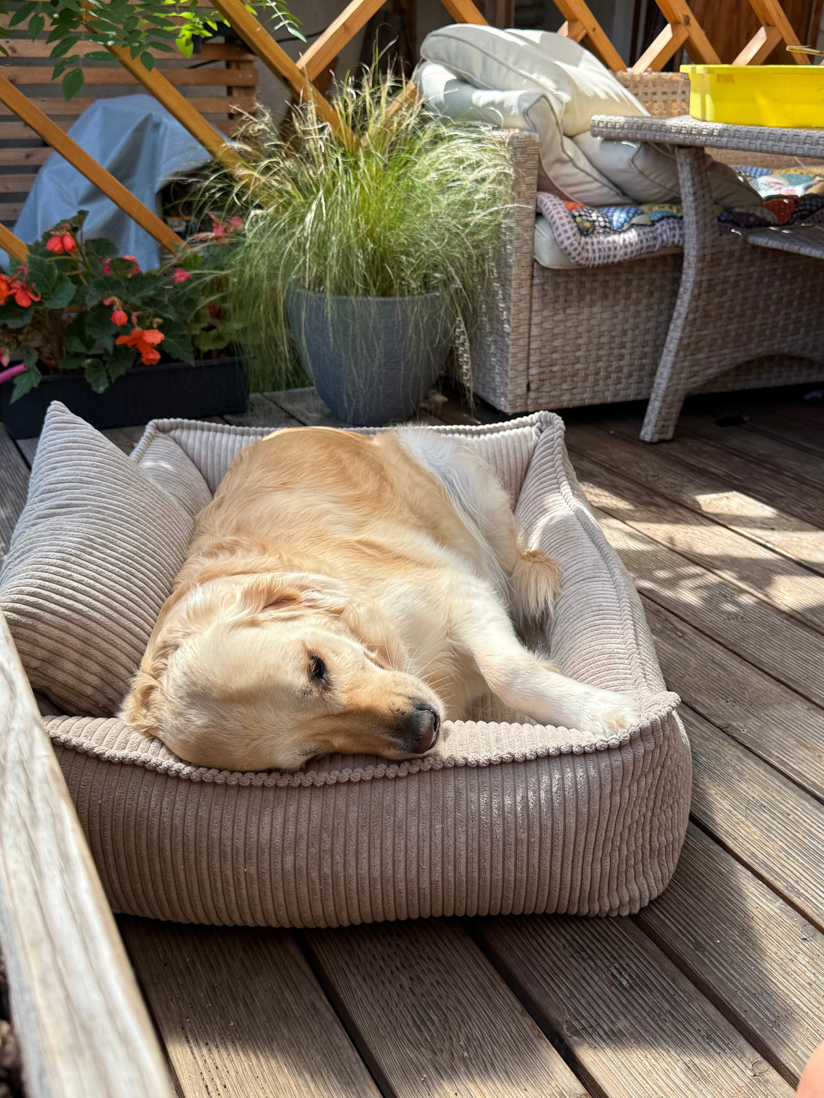Lodie Corduroy Dog Sofa with Removable Cover – Beige, M